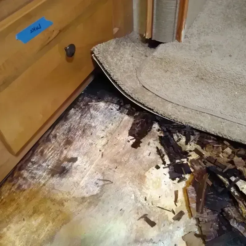 Wood Floor Water Damage in Nye County, NV